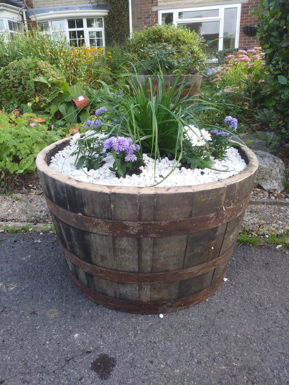 Large Oak Whiskey Half Barrel Planter Patio Herb Veg Next Day | Etsy UK