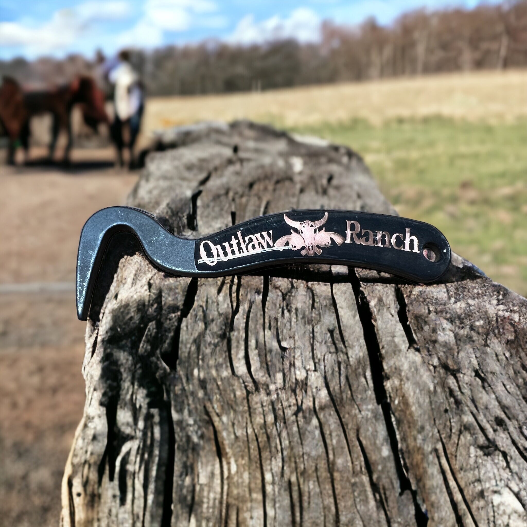 Custom Brand or Logo Hoof Pick Gift Etsy