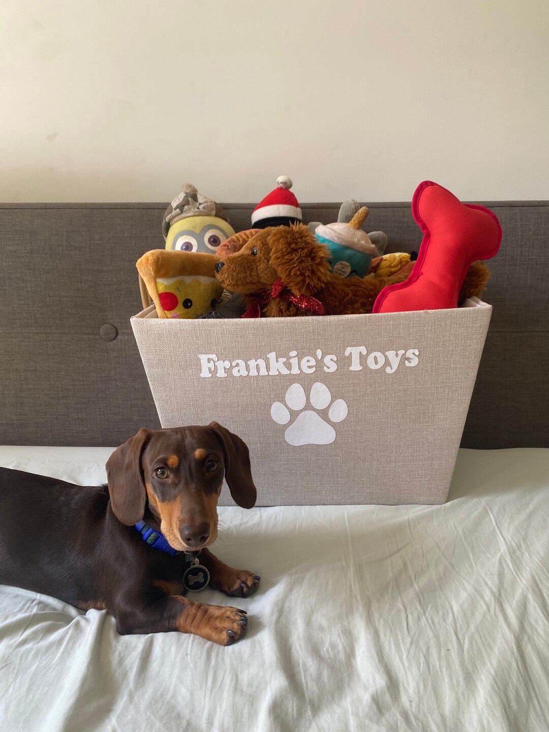Dog Toy Basket Small Gift Basket For Baby, Woven Storage Baskets For