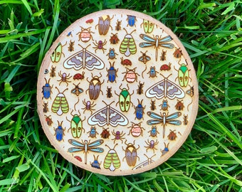 Bug pattern wood burned coaster set