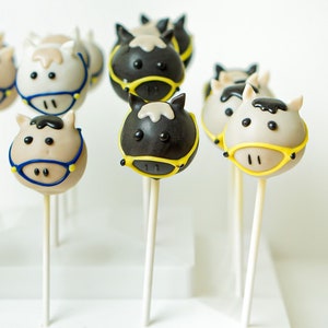 Horses cake pops (12)