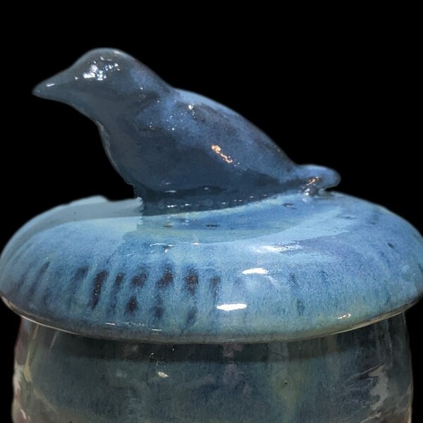 Bird Jar Handmade, wheel thrown, ceramic Lidded Bird Jar.  Beautiful detailing and craftsmanship, this art pottery piece is hand sculpted.