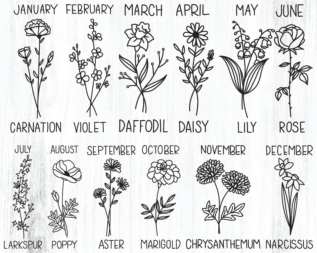 Birth Month Flower Svg Digital - Il 1080xN.4110350699 Ng6l