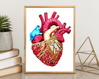 Print - Anatomical Heart --- A4 Poster