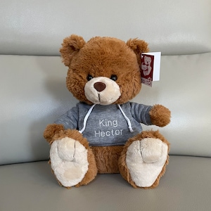 Personalized Teddy Bear - Embroidered Hoodie - Soft Teddy Bear - Gift for any occasion - Cute Teddy Bear! - 12&quot; Size