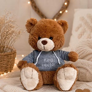 May include: A brown plush teddy bear with a cream-colored muzzle and paw pads. The bear wears a grey hooded sweatshirt with white drawstrings, featuring the embroidered text King Hector in white on the front of the chest area.