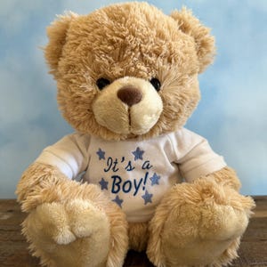 C&#39;est un garçon ! C&#39;est une fille ! – Cadeau pour bébé en peluche douce – Sexe révélateur – Cadeau de douche pour nouveau-né – Joli souvenir animal en peluche – Ours en peluche de 25 cm (25 cm)