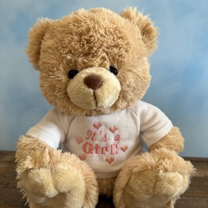 C&#39;est une fille ! - C&#39;est un garçon ! - Peluche douce pour bébé - Sexe révélateur - Cadeau de naissance - Cadeau adorable en peluche - Ours en peluche de 25 cm (10 po.)