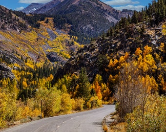 Bishop Fall Color