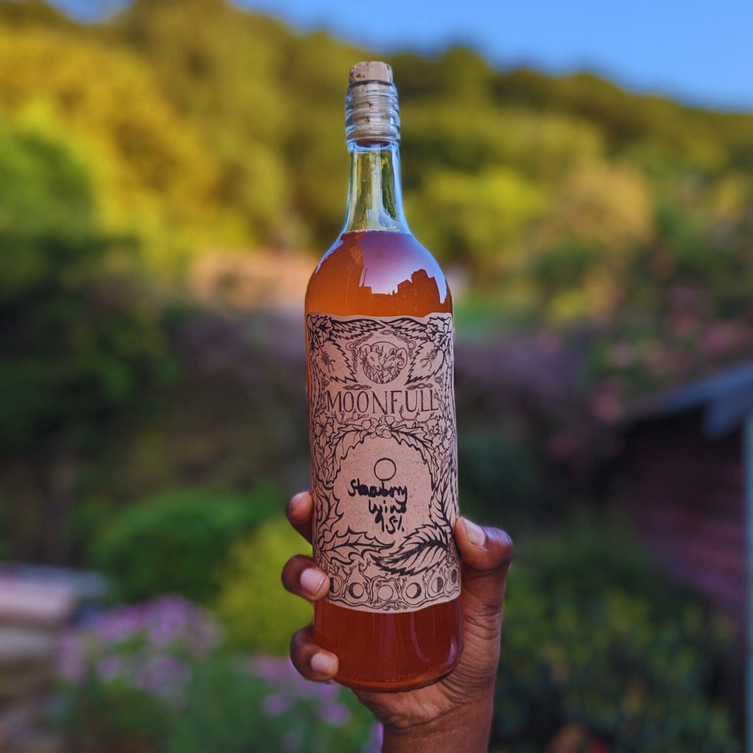 Winemaking Kit Make Wine at Home. 100 Organic & Vegan. Foraging Gift