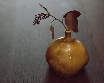 Golden Persimmon – Fine Porcelain Crystalline Masterwork