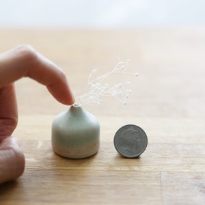 Può includere: Un piccolo vaso in ceramica blu chiaro e bianco con un ramoscello di fiori bianchi all'interno. Il vaso è circa delle dimensioni di una moneta da un euro.