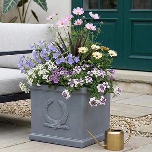 May include: A grey square planter overflowing with colourful flowers, including pink cosmos, purple petunias, and yellow daisies. The planter features a laurel wreath design and sits beside a grey outdoor sofa and a gold watering can.