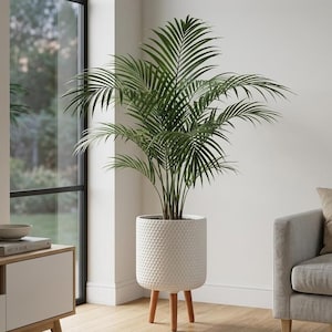 May include: A large houseplant with green fronds in a white, textured pot. The pot has wooden legs and sits on a wooden floor. The room has a window, a light-colored cabinet, and a grey sofa. The pot is approximately 40 cm in diameter.