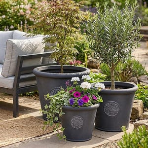 May include: A garden scene with a grey sofa, wooden table, and three dark grey plant pots. The pots contain a small tree, an olive tree, and vibrant flowers. A stone path and greenery complete the outdoor setting.