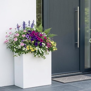 May include: Two white, rectangular planters filled with vibrant flowers in shades of purple, pink, yellow, and white. They sit either side of a dark grey door with a silver handle, creating a welcoming entrance.