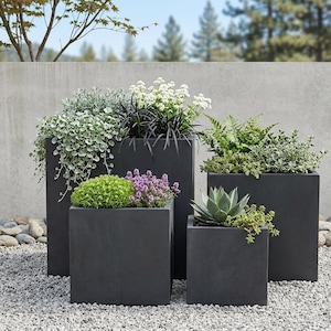 May include: Four dark grey square planters of varying sizes, filled with a variety of plants. The plants include trailing greenery, white flowers, ferns, and succulents. The planters are set on a bed of small grey pebbles.