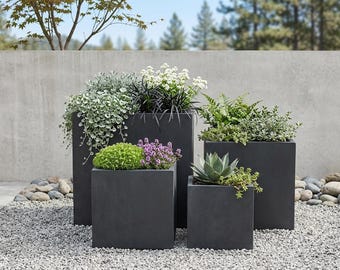 May include: Four dark gray square planters of varying sizes, filled with a variety of plants. The plants include trailing greenery, white flowers, ferns, and succulents. The planters are set on a bed of small gray pebbles.