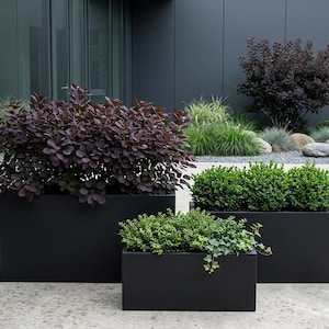 May include: Three black rectangular planters of different sizes, filled with vibrant green and deep purple plants. The planters are set outside against a dark grey wall and concrete patio, offering a modern, minimalist design.