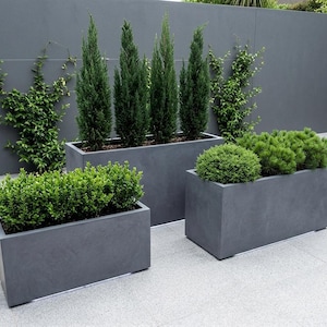 May include: Three rectangular, grey concrete planters of varying sizes, each filled with different types of greenery. The planters are arranged on a light grey patio, with a dark grey wall in the background. The plants include tall evergreens and rounded shrubs.