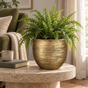 May include: A vibrant green fern plant potted in a spherical, metallic gold planter with a textured, horizontal ribbed surface and a distressed, weathered finish that reveals dark undertones across the rounded exterior of the vessel.