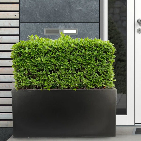 Premium Large Black Rectangular Concrete Window Box Planter Outdoor Balcony Terrace Deck Garden