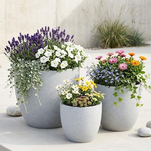May include: Three speckled grey plant pots filled with colourful flowers. The largest pot has purple lavender and white petunias. The medium pot has yellow and white flowers. The smallest pot has pink, orange, and blue flowers.