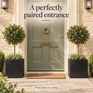 May include: A sage green front door with a brass ring knocker and letter plate, flanked by two topiary trees in square black planters. The text reads A perfectly paired entrance and Plants shown for styling on a stone path with a doormat.
