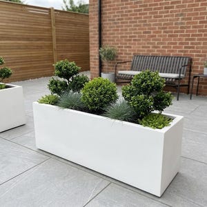 May include: Two white rectangular planters filled with greenery, including small, round shrubs and blue-green ornamental grass. The planters sit on grey stone tiles. The background features a wooden fence and brick wall.