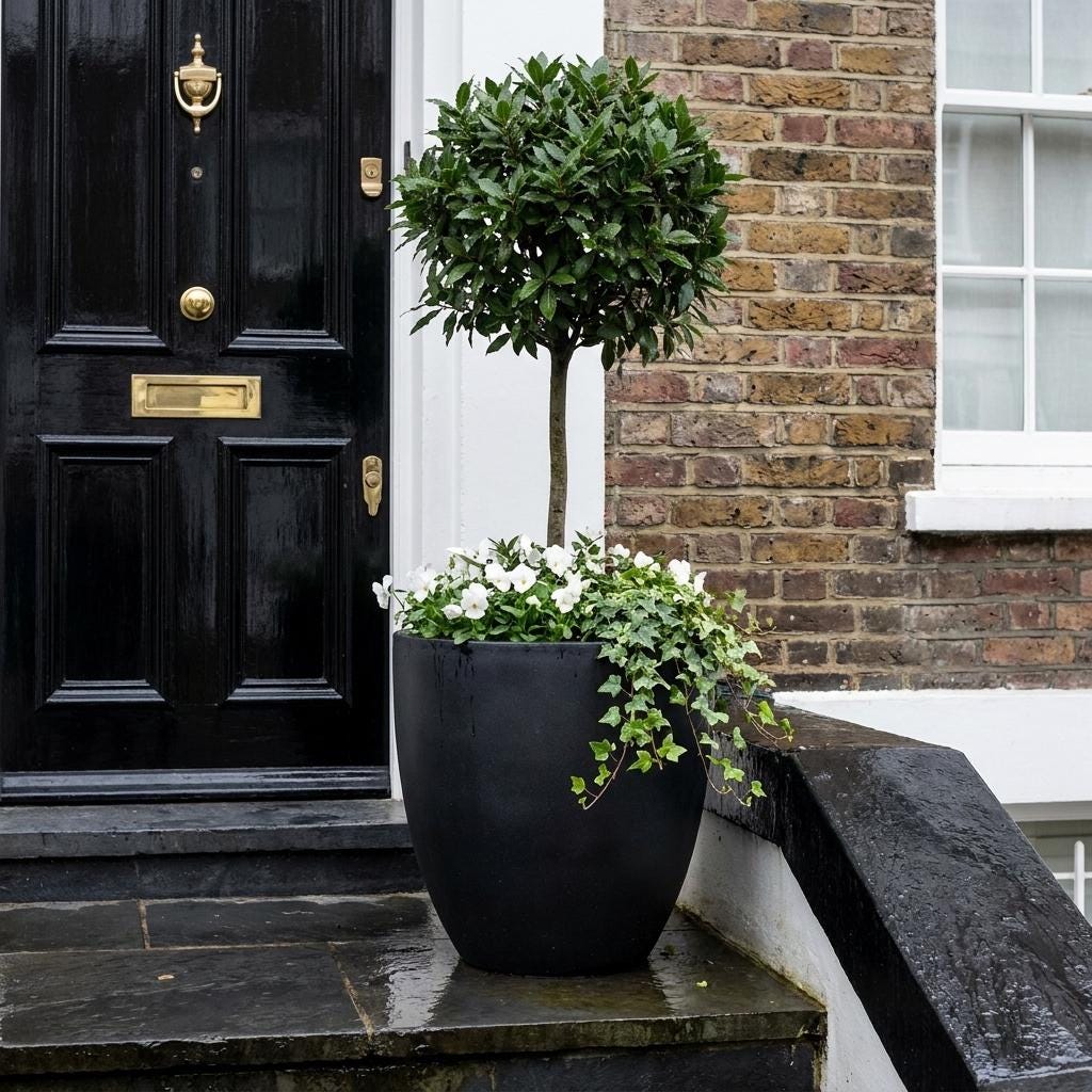 Large Black Concrete Egg Pot Planter Round Fibrestone Garden Cup