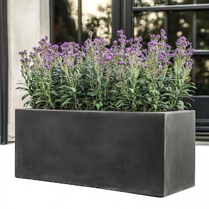 May include: A dark grey rectangular planter with a row of purple flowers growing inside. The planter is made of a textured material and has a slightly weathered look.