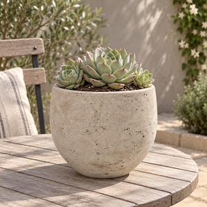 May include: A round, beige, porous stone planter with a textured, pitted surface containing three green succulent plants with pointed leaves. The planter has a wide, curved body that tapers towards the base, holding the plants in dark soil.