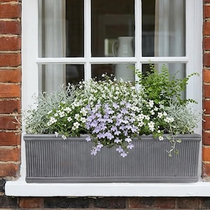 May include: A grey rectangular window box, filled with white and purple flowers and greenery, sits on a white windowsill. The window is set in a red brick wall.