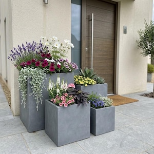 May include: Four grey, square planters of different sizes, filled with vibrant flowers and foliage. The planters are positioned in front of a house with a wooden door and a small tree. The flowers include lavender, petunias, and white cosmos.