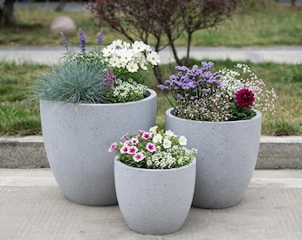 Large Light Grey Egg-shaped Concrete Planter – Handmade Outdoor