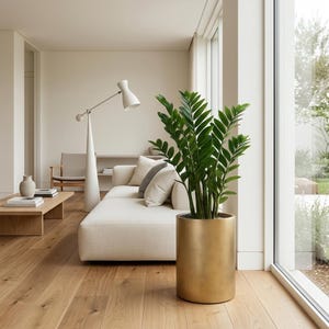 May include: A tall, cylindrical planter with a brushed gold metallic finish containing a lush green Zamioculcas zamiifolia plant with upright, glossy, pinnate leaves. The planter sits directly on a light-toned wooden floor near a large window.