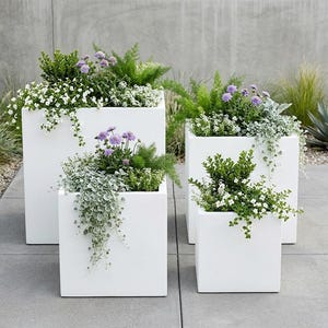 May include: Four white, square planters of different sizes, each filled with a variety of greenery and flowering plants. The plants include trailing vines, purple flowers, and green foliage. The planters are on a grey stone patio.