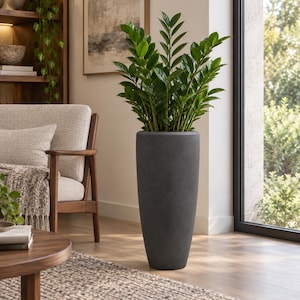 May include: A tall, cylindrical, dark grey planter with a textured matte finish, containing a vibrant green Zamioculcas zamiifolia plant with multiple upright stems and glossy, oval-shaped leaves reaching toward the top of the frame.