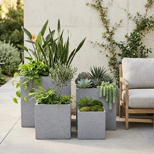 May include: Several grey, square-shaped planters, each containing a variety of green plants and succulents. The planters are arranged on a concrete patio. A modern outdoor sofa and table are visible in the background, with natural light illuminating the scene.