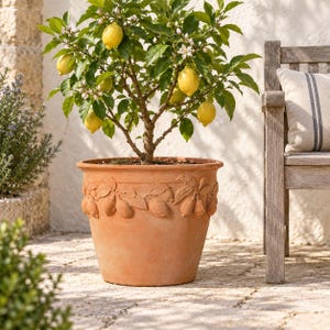 May include: A terracotta planter featuring a raised relief band of sculpted lemons and leaves around the upper rim. The pot contains a small lemon tree with green leaves, white blossoms, and several bright yellow lemons growing on its branches.