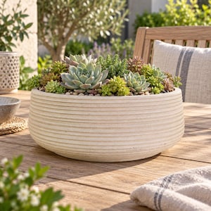 May include: A wide, shallow, off-white ceramic planter with a ribbed, horizontal texture on the exterior. The planter is filled with a dense arrangement of various green and reddish-toned succulent plants nestled among small, light-coloured pebbles.