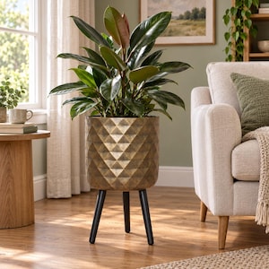 May include: A potted rubber plant with dark green, glossy, oval-shaped leaves sits in a cylindrical, metallic bronze-coloured planter. The planter features a textured, geometric diamond pattern and is supported by three slender, matte black legs.