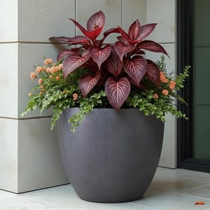 Dark Grey Concrete Egg Pot Planter Handmade Contemporary Design For Outdoor Garden Balcony Terrace Flower Trees Plants Shrubs Bushes