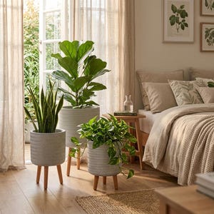 May include: Three indoor plants in textured grey pots with wooden legs. The plants include a snake plant, a fiddle-leaf fig, and a pothos. The room has a neutral colour palette with beige curtains and bedding. The pots are suitable for a variety of indoor plants.