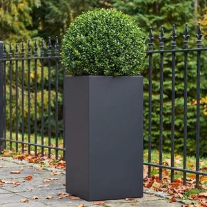 Tall Dark Grey Concrete Planter – Modern Fibrestone Pot for Trees, Shrubs & Palms | Contemporary Outdoor Garden Decor