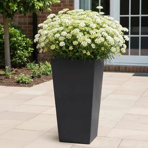 Tall Black Tapered Contemporary Modern Light Concrete Planters Pots for Outdoor Balcony Garden Terrace Trees Shrubs Palms Standards