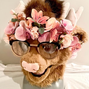 Pälsdräktsblomkrona bild 1
