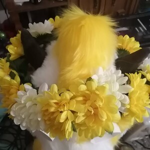 Pälsdräktsblomkrona bild 5