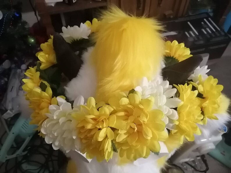 Pälsdräktsblomkrona bild 5