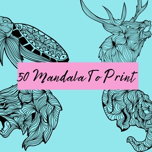 Animal digital mandala coloring book printable anti stress coloring book Printable coloring book for adult in A4 PDF format.